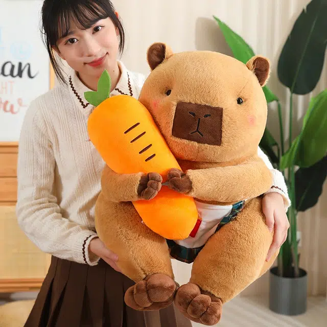 55cm