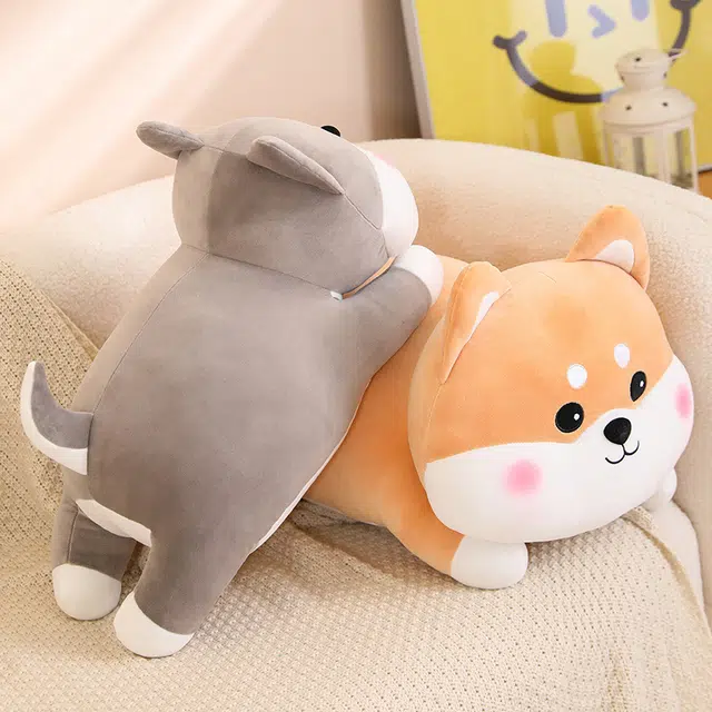 50cm60cm