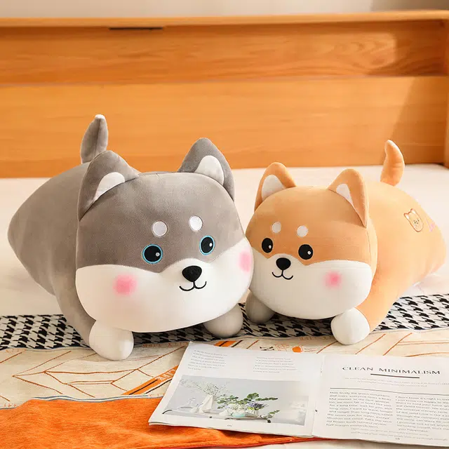50cm60cm