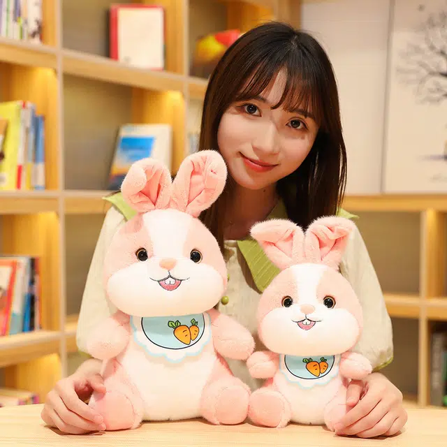 30cm40cm