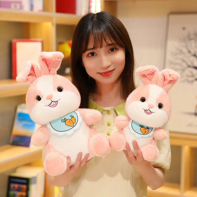 30cm40cm