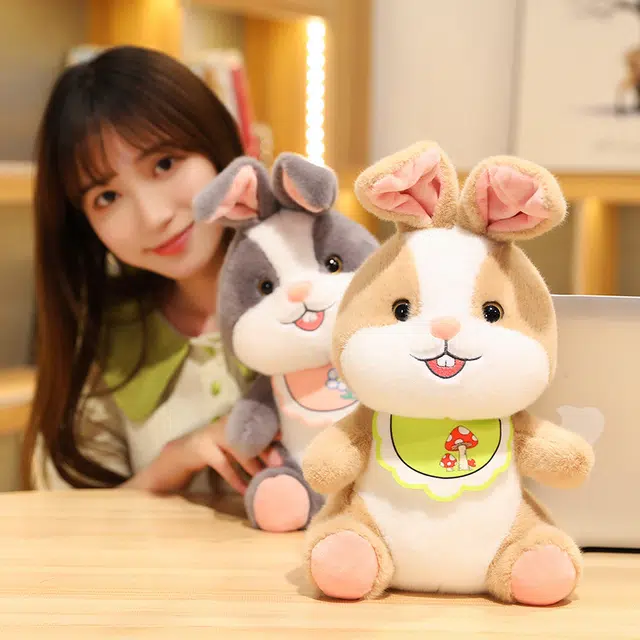 30cm40cm