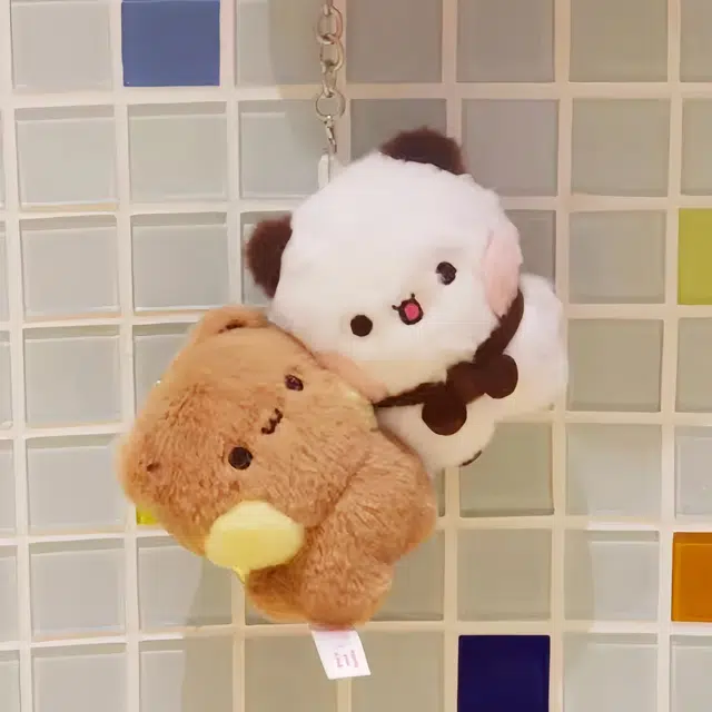 10cm