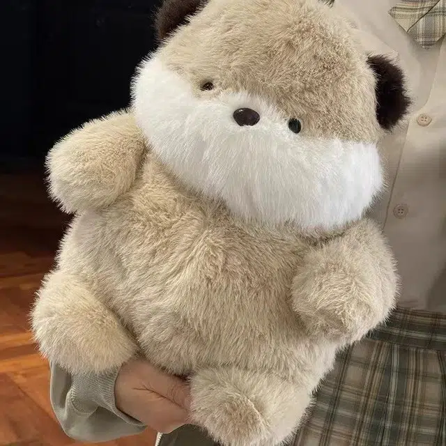 31cm