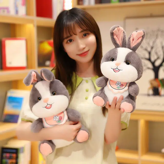 30cm40cm
