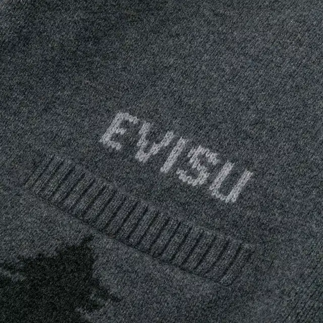EVISU 2025