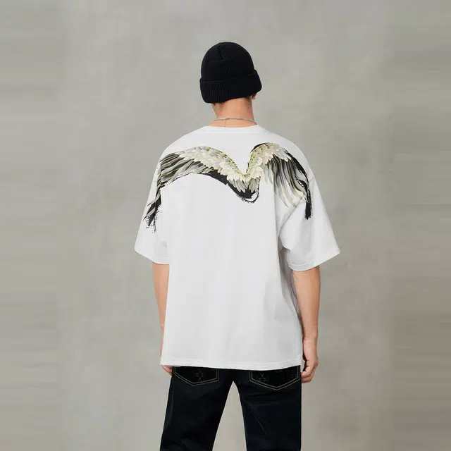 EVISU 2025 MT