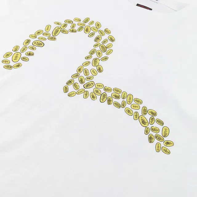 EVISU x F-LAGSTUF-F SS25 T