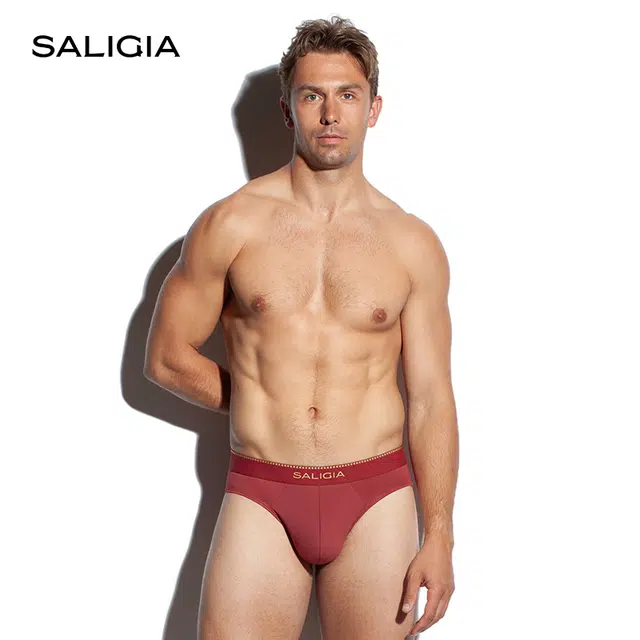 SALIGIA 3