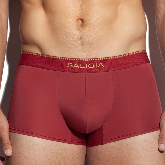 SALIGIA 140S 3