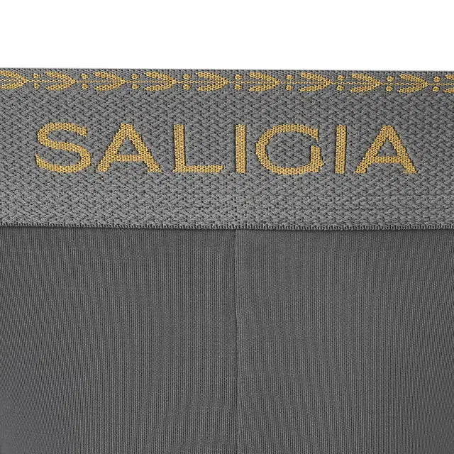 SALIGIA 140S
