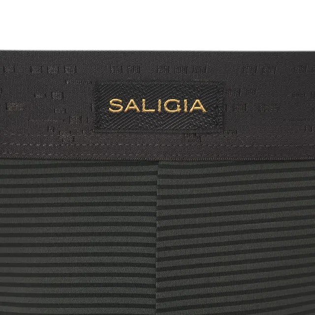 SALIGIA