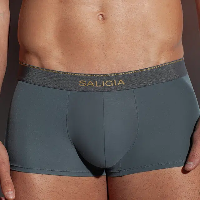 SALIGIA 3