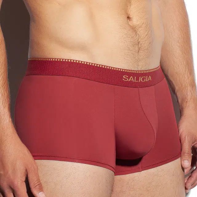 SALIGIA 140S 3