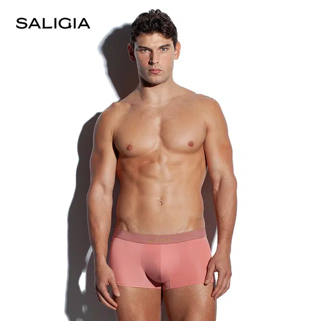 SALIGIA 3