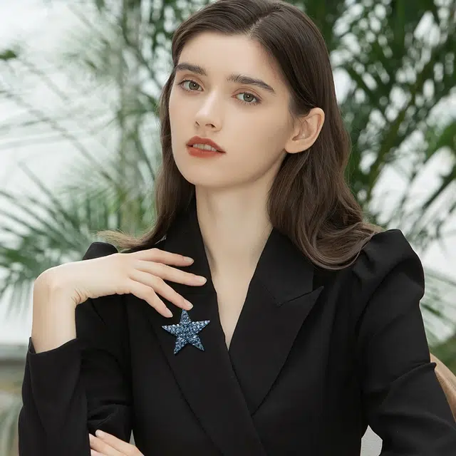 兰盈 闪耀星星 精致轻奢小众设计高级感 胸针 女款