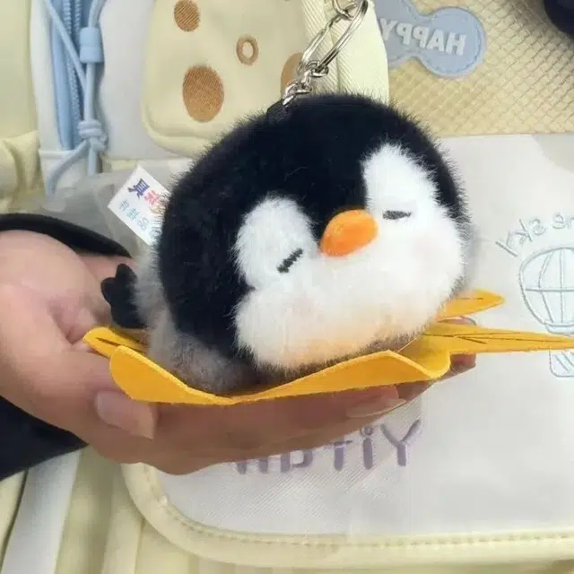 FKOFR 12cm