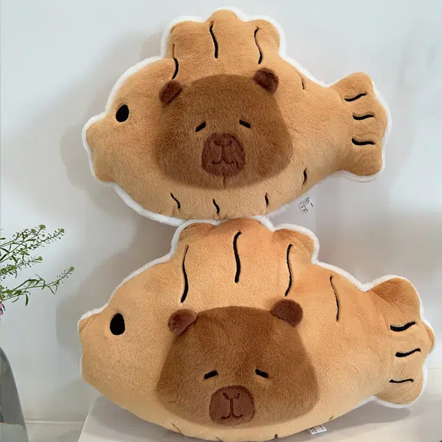 FKOFR 40cm50cm