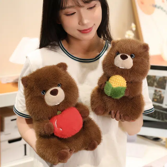 25cm30cm40cm50cm