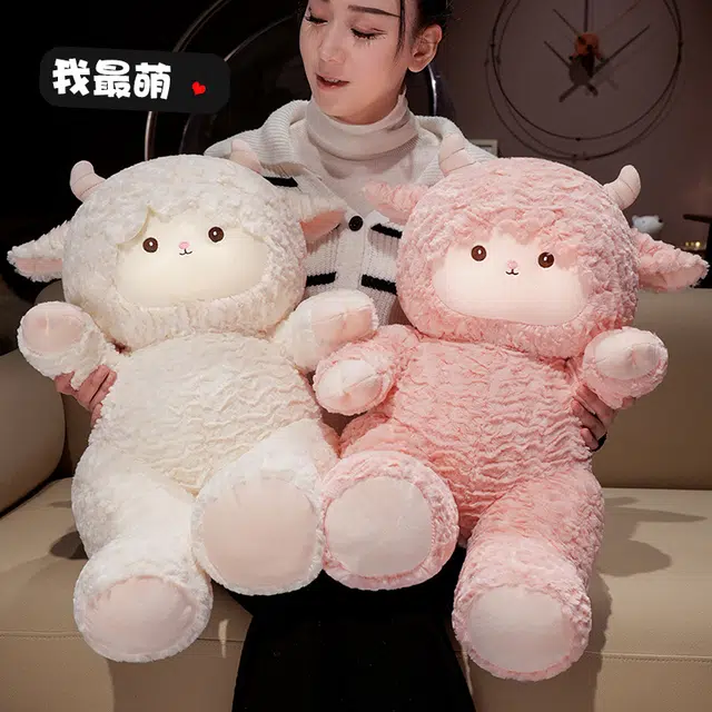 50cm60cm