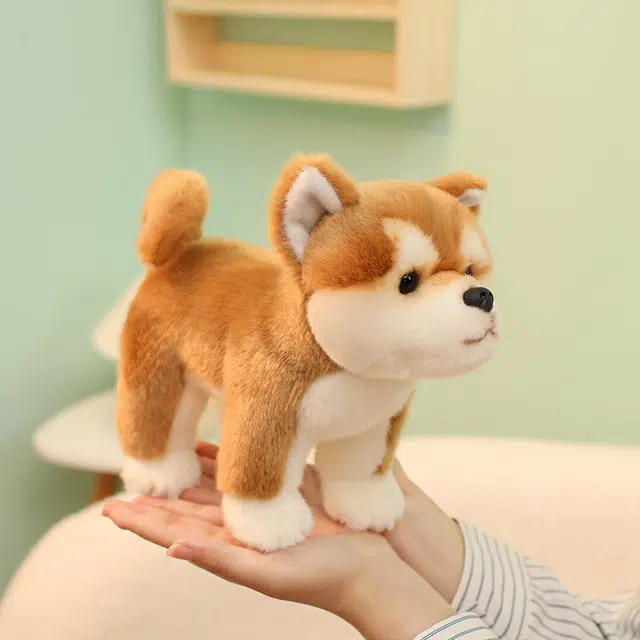 25cm35cm