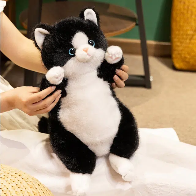 45cm