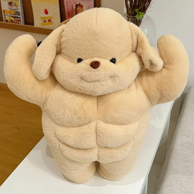 50cm