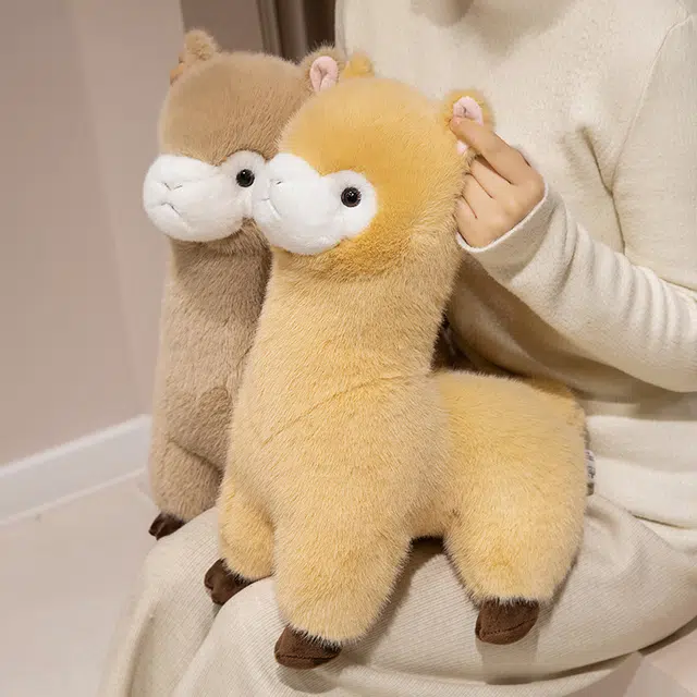 30cm40cm
