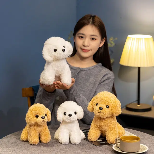 19cm24cm