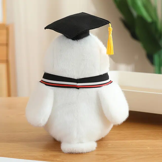 22cm