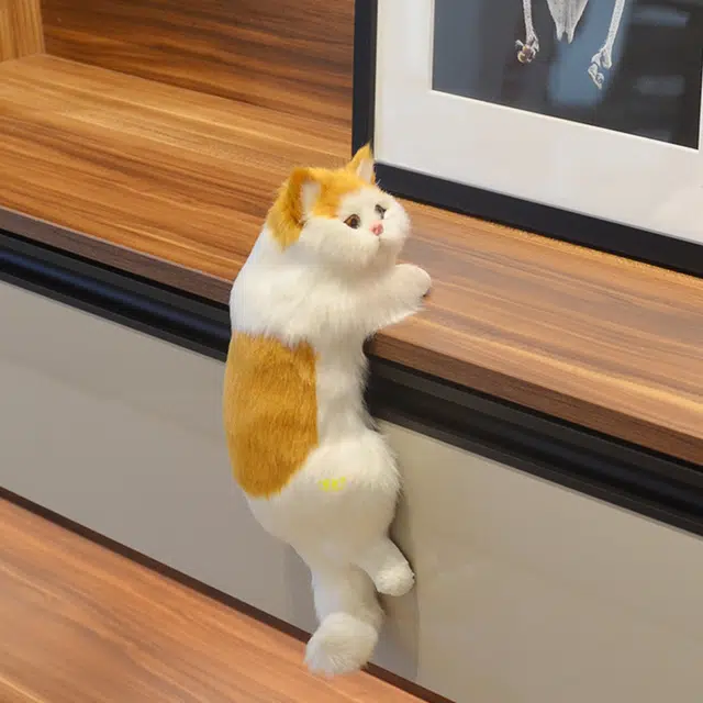 31cm