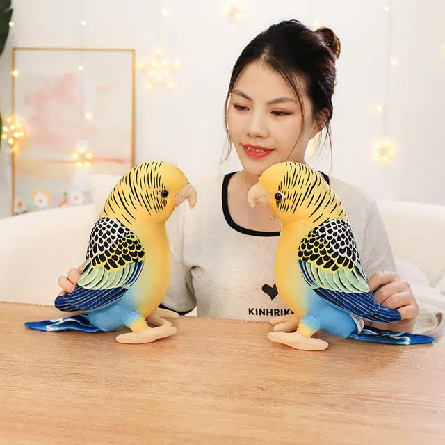26cm