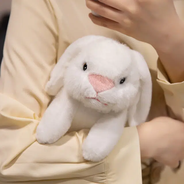 25cm
