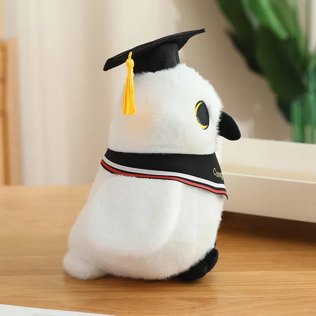 22cm