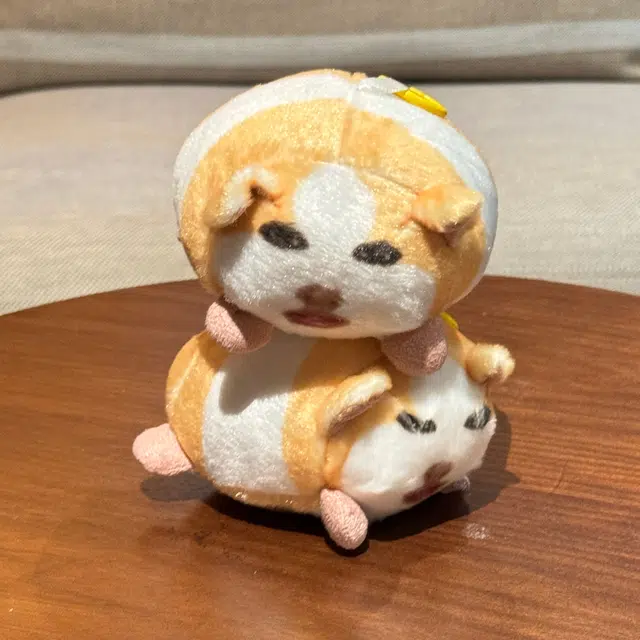 10cm