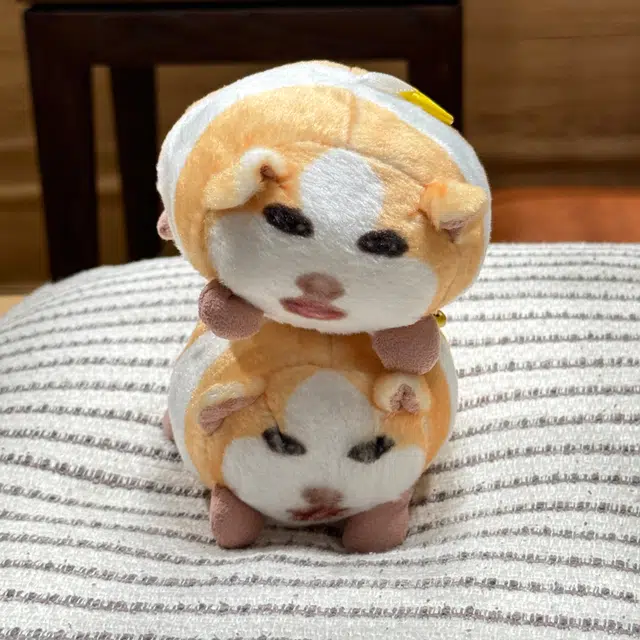 10cm