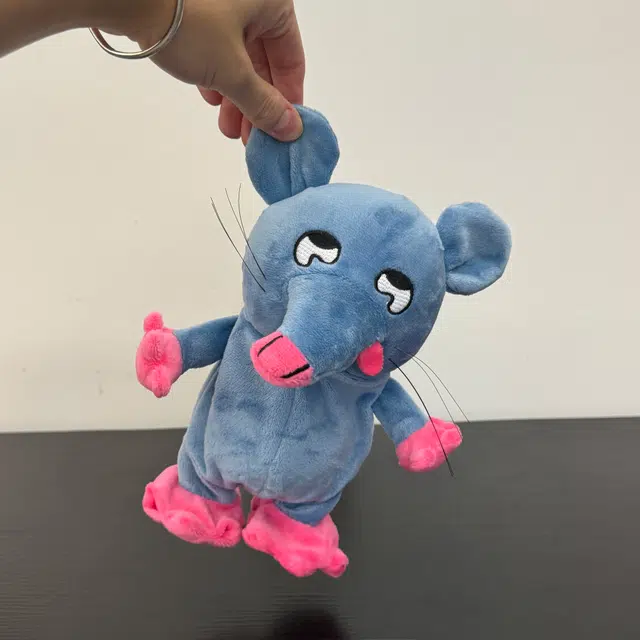 20cm