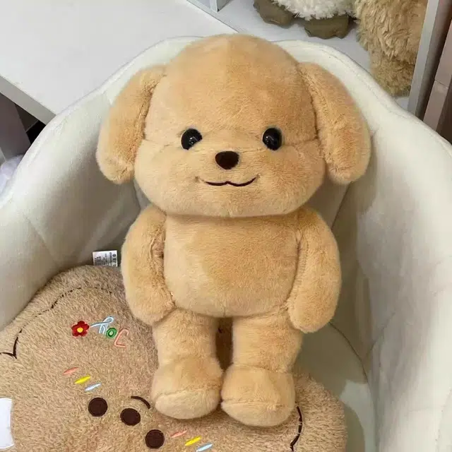 20cm30cm