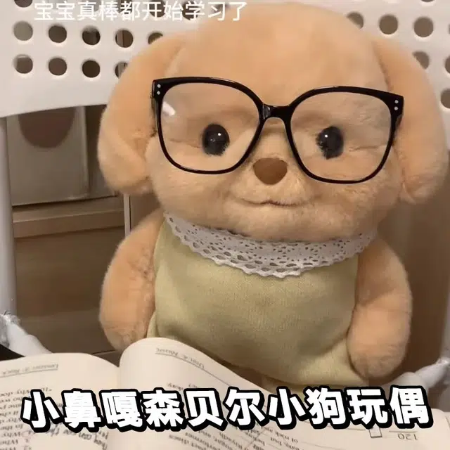 20cm30cm