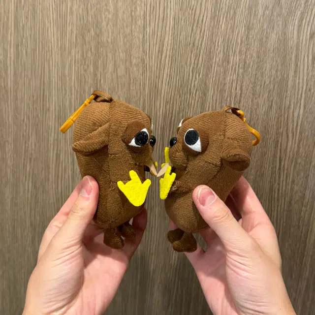 19cm30cm