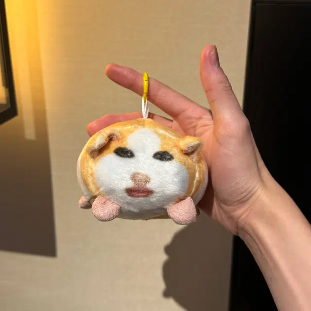 10cm