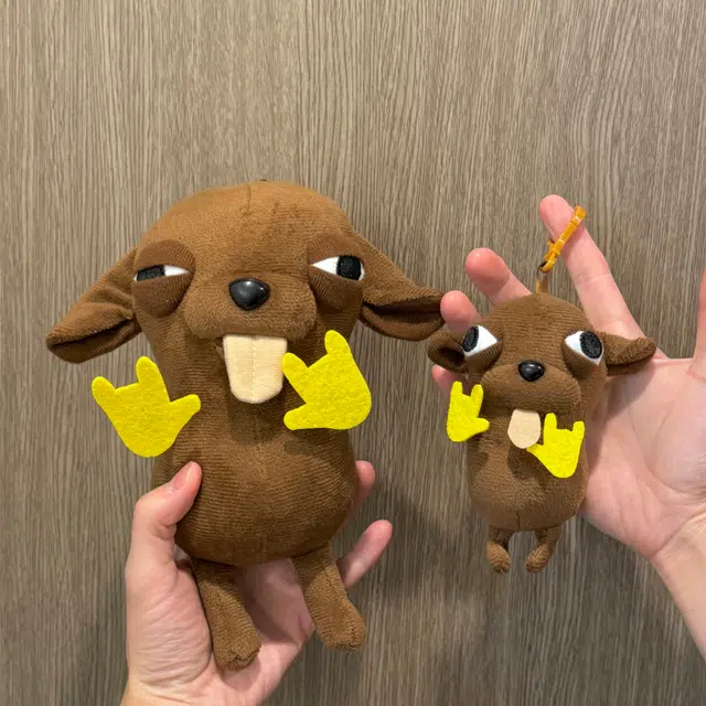 19cm30cm
