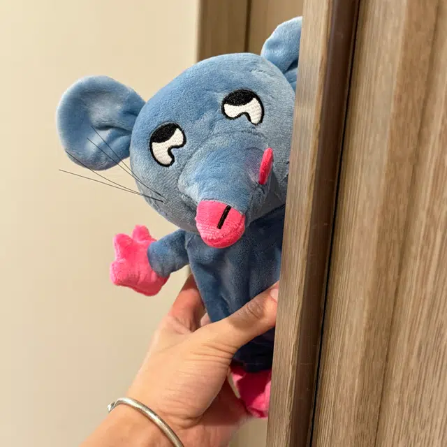 20cm