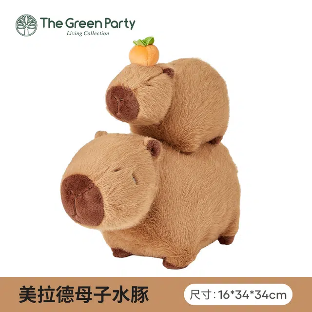 The Green Party 12cm28cm