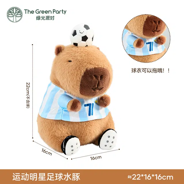 The Green Party 12cm28cm