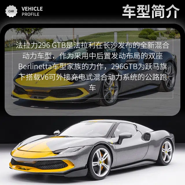 118 296GTB
