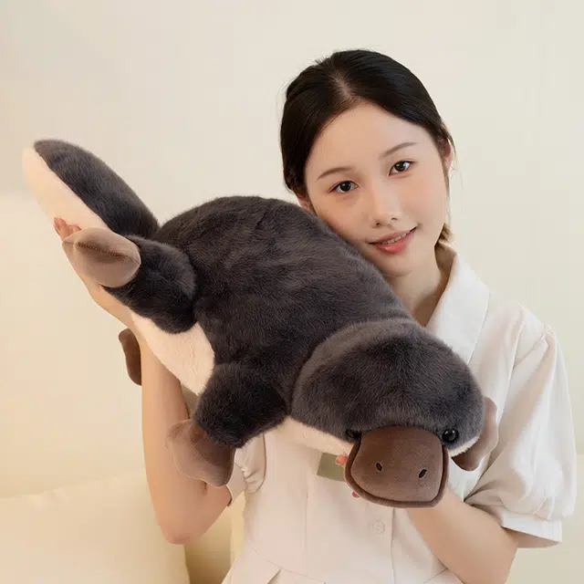 60cm68cm100cm