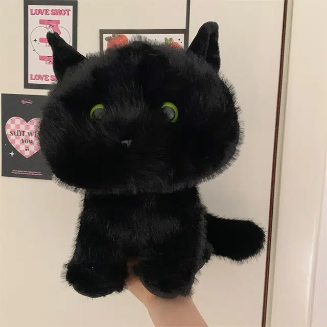 30cm