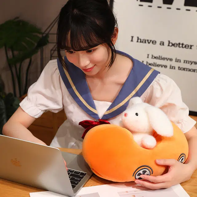 25cm35cm