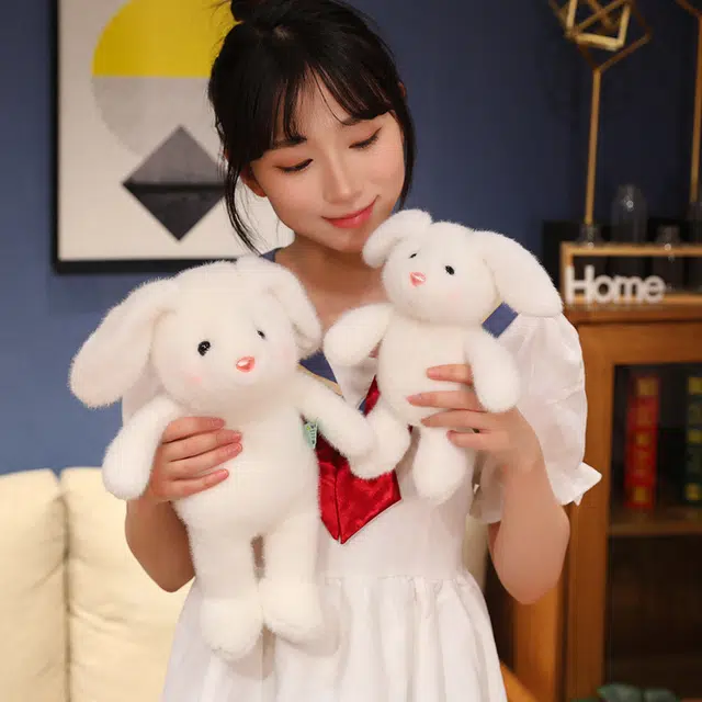 25cm35cm